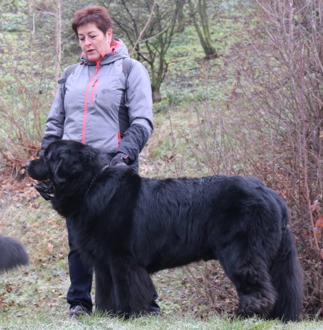 Předvánoční Prahou 2016