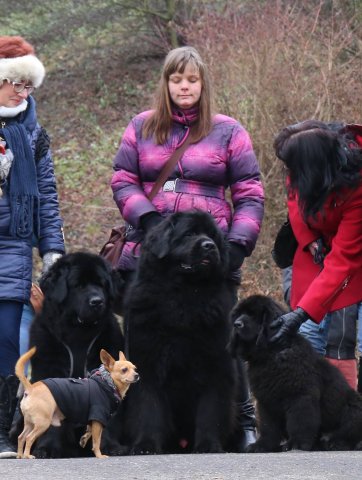 Předvánoční Prahou 2016