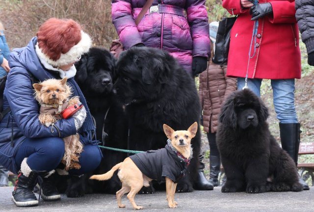 Předvánoční Prahou 2016