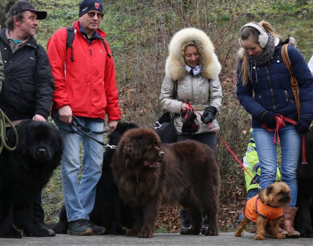 Předvánoční Prahou 2016