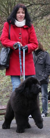 Předvánoční Prahou 2016