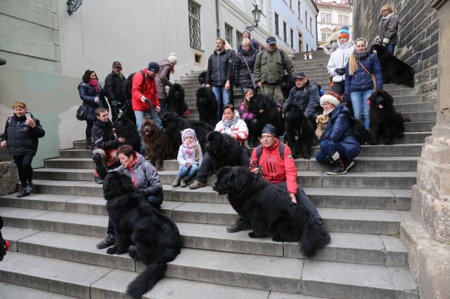 Předvánoční Prahou 2016