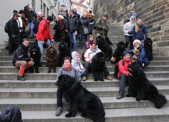 Předvánoční Prahou 2016
