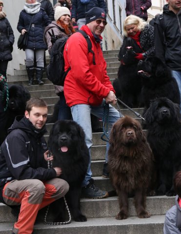 Předvánoční Prahou 2016