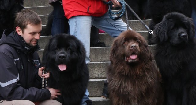 Předvánoční Prahou 2016