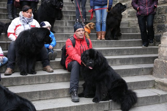 Předvánoční Prahou 2016