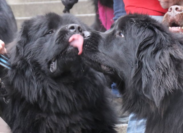 Předvánoční Prahou 2016