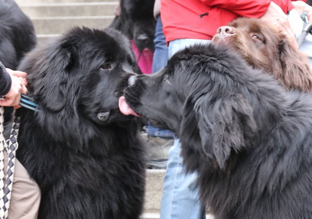 Předvánoční Prahou 2016