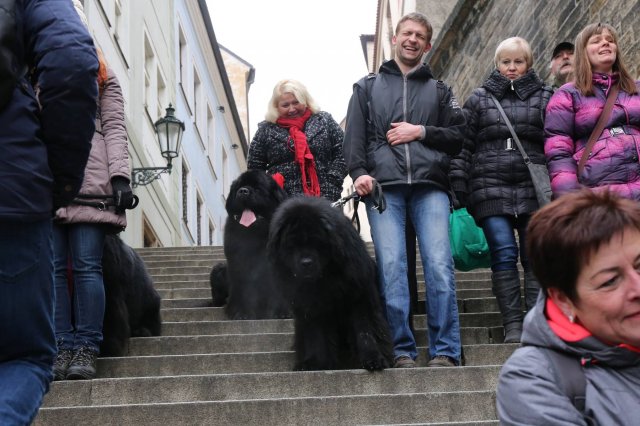 Předvánoční Prahou 2016