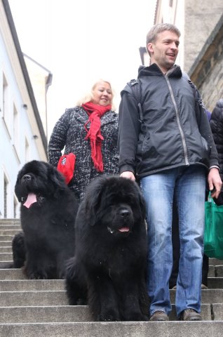 Předvánoční Prahou 2016