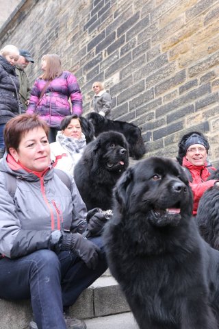 Předvánoční Prahou 2016