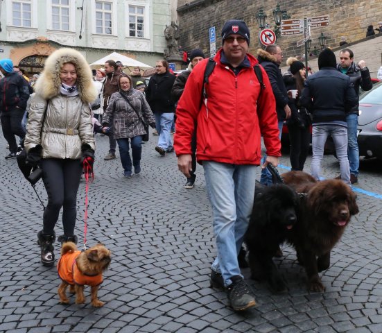 Předvánoční Prahou 2016