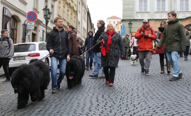 Předvánoční Prahou 2016