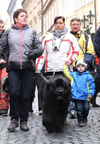 Předvánoční Prahou 2016