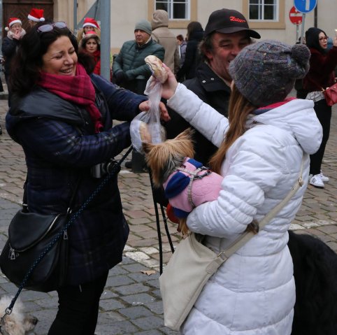 Předvánoční Prahou 2016