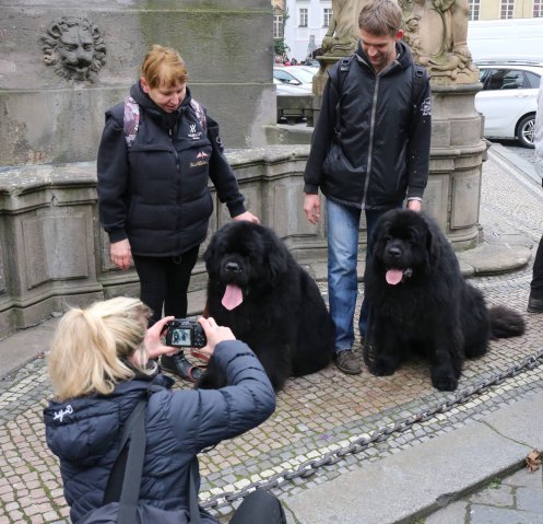 Předvánoční Prahou 2016