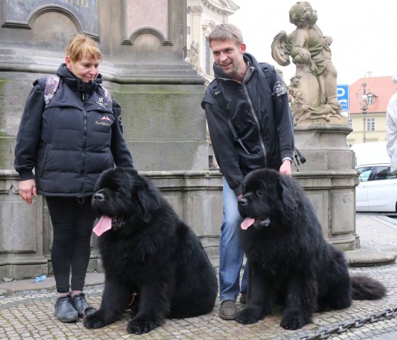 Předvánoční Prahou 2016