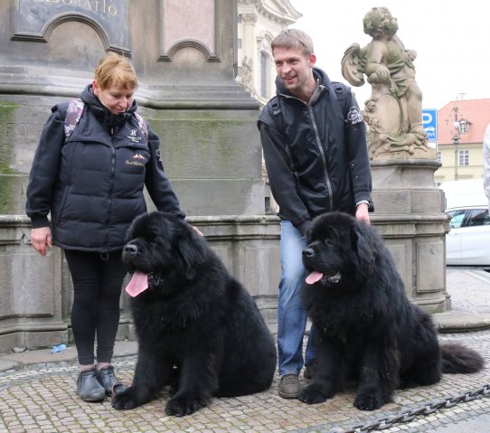 Předvánoční Prahou 2016