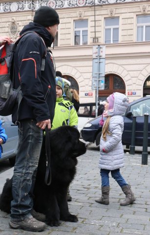 Předvánoční Prahou 2016