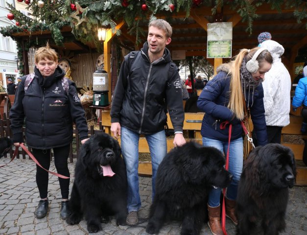 Předvánoční Prahou 2016