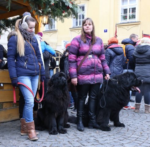 Předvánoční Prahou 2016