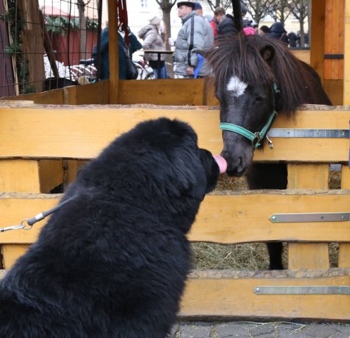 Předvánoční Prahou 2016