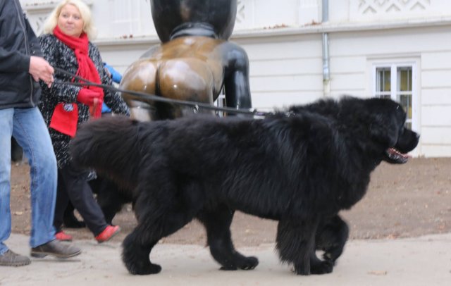 Předvánoční Prahou 2016