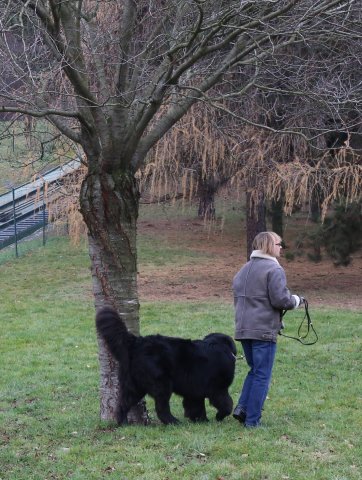 Předvánoční Prahou 2016