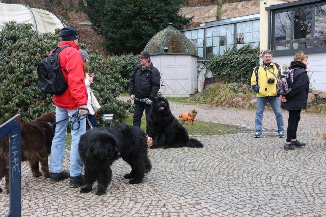 Předvánoční Prahou 2016