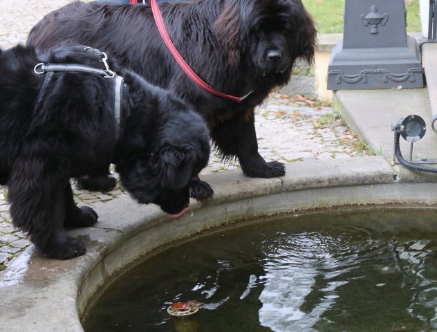 Předvánoční Prahou 2016