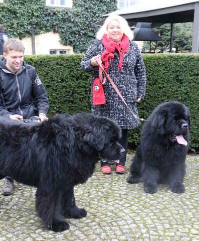 Předvánoční Prahou 2016