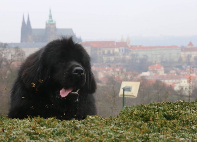 Předvánoční Prahou 2016