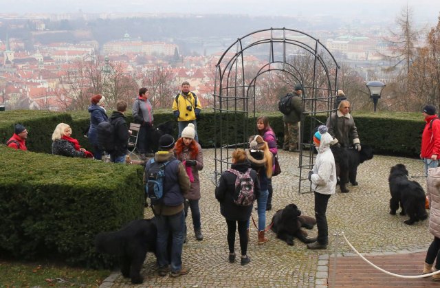 Předvánoční Prahou 2016