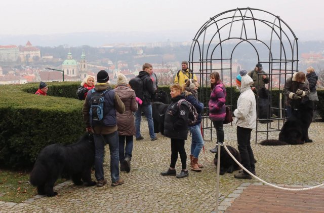 Předvánoční Prahou 2016