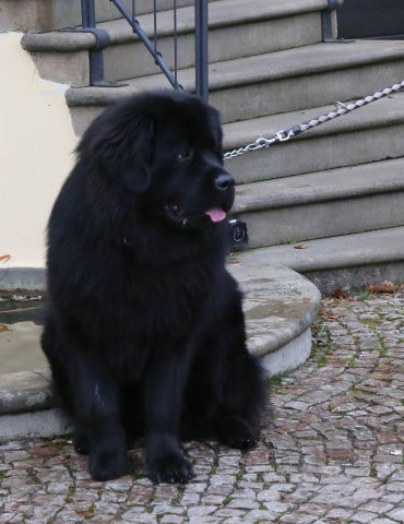 Předvánoční Prahou 2016