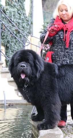 Předvánoční Prahou 2016