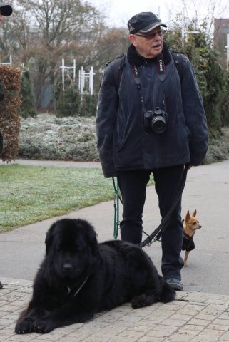 Předvánoční Prahou 2016