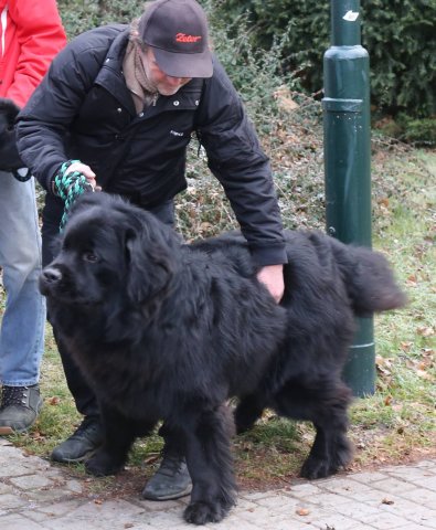 Předvánoční Prahou 2016