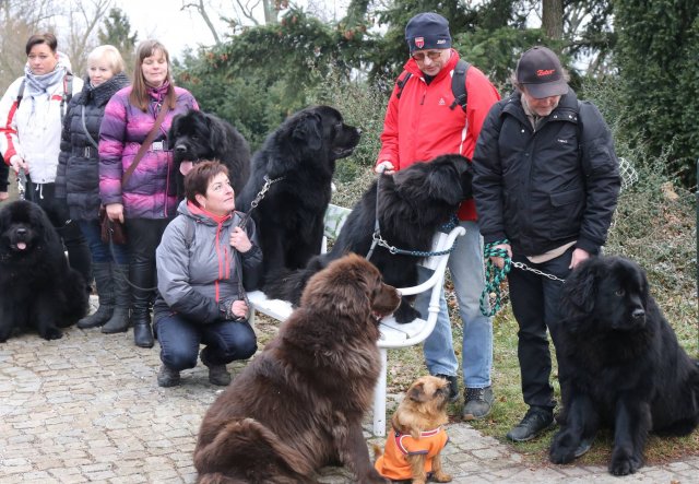 Předvánoční Prahou 2016