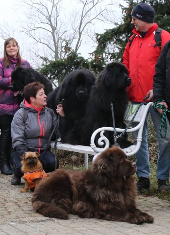 Předvánoční Prahou 2016