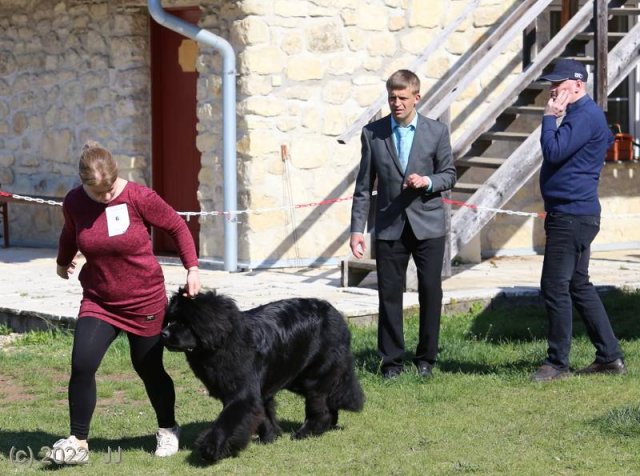 KV Chržín 2022 - CAC, Kl.vítěz