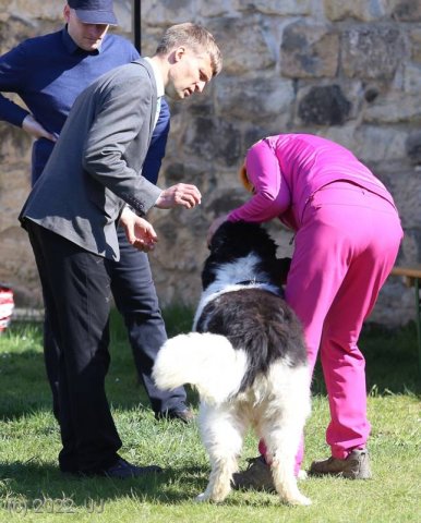 KV Chržín 2022 - CAC, Kl.vítěz