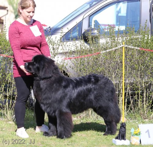 KV Chržín 2022 - CAC, Kl.vítěz