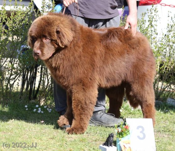 KV Chržín 2022 - CAC, Kl.vítěz