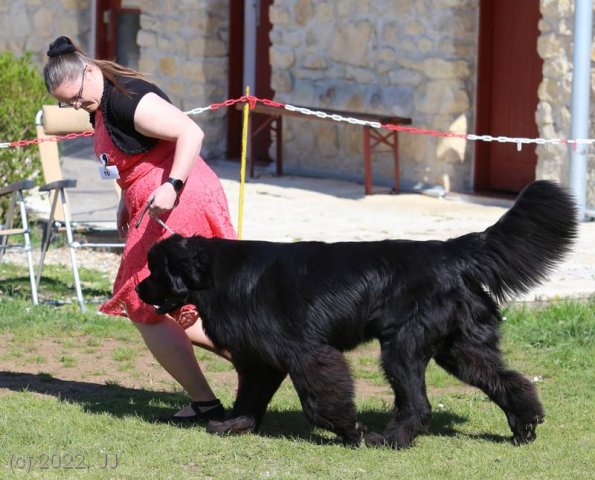 KV Chržín 2022 - CAC, Kl.vítěz