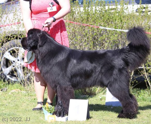KV Chržín 2022 - CAC, Kl.vítěz