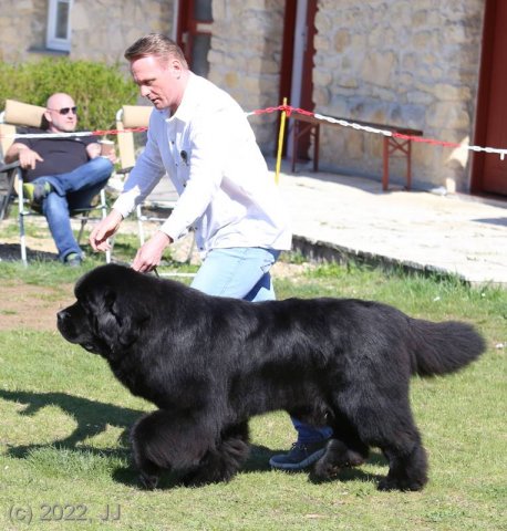 KV Chržín 2022 - CAC, Kl.vítěz