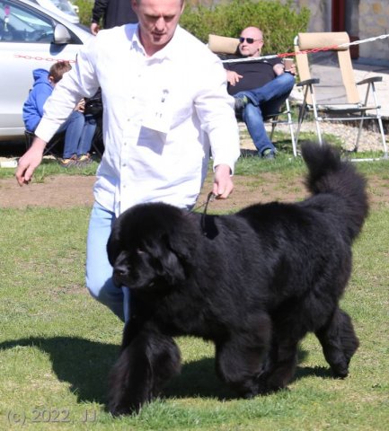 KV Chržín 2022 - CAC, Kl.vítěz