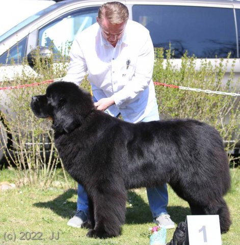 KV Chržín 2022 - CAC, Kl.vítěz