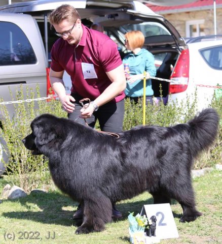 KV Chržín 2022 - CAC, Kl.vítěz